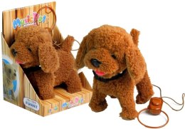 LEAN Toys Interaktywny Piesek Pies Na Smyczy Brązowy Pudel