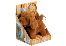 LEAN Toys Interaktywny Piesek Pies Na Smyczy Brązowy Pudel
