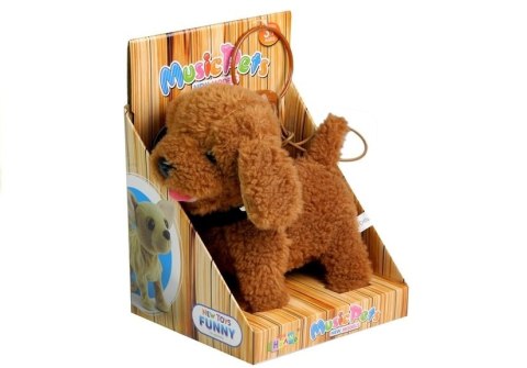 LEAN Toys Interaktywny Piesek Pies Na Smyczy Brązowy Pudel LEAN Toys Interaktywny Piesek Pies Na Smyczy Brązowy Pudel
