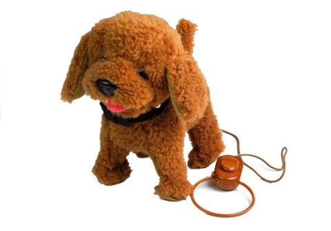 LEAN Toys Interaktywny Piesek Pies Na Smyczy Brązowy Pudel LEAN Toys Interaktywny Piesek Pies Na Smyczy Brązowy Pudel