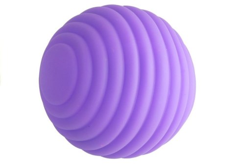 LEAN Toys Piłeczki Sensoryczne Zestaw Dla Maluszka 6 Sztuk LEAN Toys Piłeczki Sensoryczne Zestaw Dla Maluszka 6 Sztuk