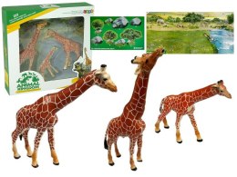 LEAN Toys Żyrafy Figurki Edukacyjne Rodzina 3 sztuki + Tło Afryka
