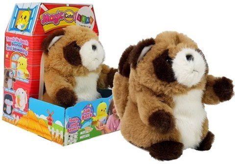 LEAN Toys Interaktywny Gadający Szop Pracz Powtarzający Słowa Pluszowy LEAN Toys Interaktywny Gadający Szop Pracz Powtarzający Słowa Pluszowy