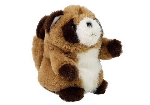 LEAN Toys Interaktywny Gadający Szop Pracz Powtarzający Słowa Pluszowy LEAN Toys Interaktywny Gadający Szop Pracz Powtarzający Słowa Pluszowy