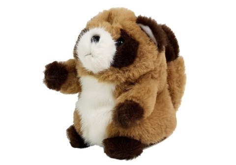 LEAN Toys Interaktywny Gadający Szop Pracz Powtarzający Słowa Pluszowy LEAN Toys Interaktywny Gadający Szop Pracz Powtarzający Słowa Pluszowy