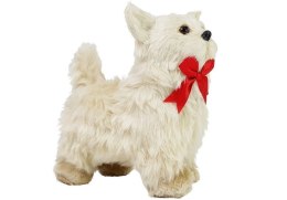 LEAN Toys Interaktywny Pies Chihuahua Porusza się, Szczeka