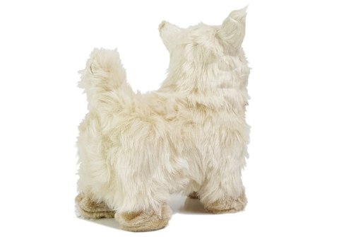 LEAN Toys Interaktywny Pies Chihuahua Porusza się, Szczeka LEAN Toys Interaktywny Pies Chihuahua Porusza się, Szczeka