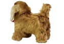 LEAN Toys Interaktywny Pies Cocker Spaniel Porusza się, Szczeka