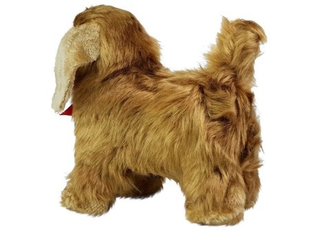 LEAN Toys Interaktywny Pies Cocker Spaniel Porusza się, Szczeka LEAN Toys Interaktywny Pies Cocker Spaniel Porusza się, Szczeka