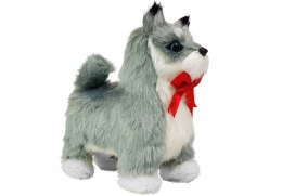LEAN Toys Interaktywny Pies Husky Porusza się, Szczeka