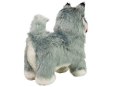 LEAN Toys Interaktywny Pies Husky Porusza się, Szczeka