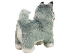 LEAN Toys Interaktywny Pies Husky Porusza się, Szczeka