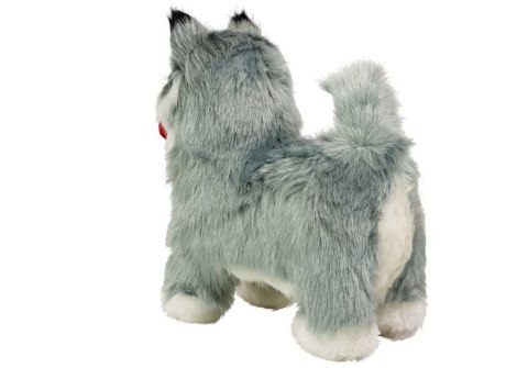 LEAN Toys Interaktywny Pies Husky Porusza się, Szczeka LEAN Toys Interaktywny Pies Husky Porusza się, Szczeka