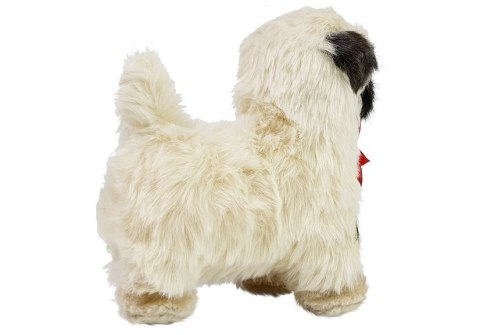 LEAN Toys Interaktywny Pies Mops Porusza się, Szczeka LEAN Toys Interaktywny Pies Mops Porusza się, Szczeka