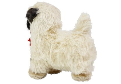 LEAN Toys Interaktywny Pies Mops Porusza się, Szczeka LEAN Toys Interaktywny Pies Mops Porusza się, Szczeka