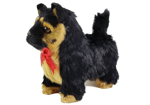 LEAN Toys Interaktywny Pies Owczarek Niemiecki Porusza się, Szczeka LEAN Toys Interaktywny Pies Owczarek Niemiecki Porusza się, Szczeka