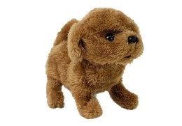 LEAN Toys Interaktywny Piesek na Baterie Brązowy Chodzi Porusza Ogonem Dźwięk