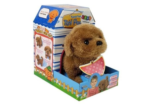 LEAN Toys Interaktywny Piesek na Baterie Brązowy Chodzi Porusza Ogonem Dźwięk LEAN Toys Interaktywny Piesek na Baterie Brązowy Chodzi Porusza Ogonem Dźwięk