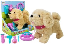 LEAN Toys Pluszowy Piesek na Smyczy na Baterie Kremowy Akcesoria