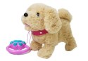 LEAN Toys Pluszowy Piesek na Smyczy na Baterie Kremowy Akcesoria