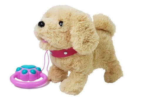 LEAN Toys Pluszowy Piesek na Smyczy na Baterie Kremowy Akcesoria LEAN Toys Pluszowy Piesek na Smyczy na Baterie Kremowy Akcesoria