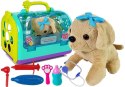 LEAN Toys Zestaw Weterynarz z Pieskiem i Transporterem