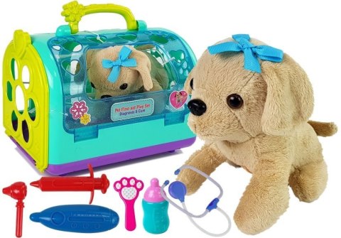 LEAN Toys Zestaw Weterynarz z Pieskiem i Transporterem LEAN Toys Zestaw Weterynarz z Pieskiem i Transporterem