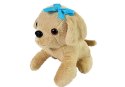 LEAN Toys Zestaw Weterynarz z Pieskiem i Transporterem