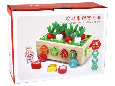 LEAN Toys Drewniany Sorter Pole Marchewek Owoce Dla Dzieci LEAN Toys Drewniany Sorter Pole Marchewek Owoce Dla Dzieci
