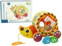 LEAN Toys Jeż Do Ciągnięcia Na Kółkach Sorter Klocki Drewniane