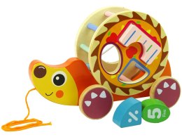 LEAN Toys Jeż Do Ciągnięcia Na Kółkach Sorter Klocki Drewniane