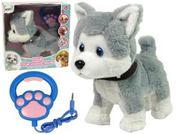 LEAN Toys Pluszowy Piesek Husky Interaktywny Edukacyjny Smycz Piosenki Chodzi