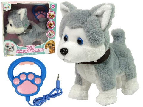 LEAN Toys Pluszowy Piesek Husky Interaktywny Edukacyjny Smycz Piosenki Chodzi LEAN Toys Pluszowy Piesek Husky Interaktywny Edukacyjny Smycz Piosenki Chodzi