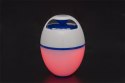 Bestway Pływający Głośnik Bluetooth LED Bestway 58700