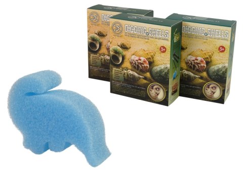 LEAN TOYS Zestaw Wykopaliska Skorupy Muszle Trzy Modele Niespodzianka LEAN TOYS Zestaw Wykopaliska Skorupy Muszle Trzy Modele Niespodzianka