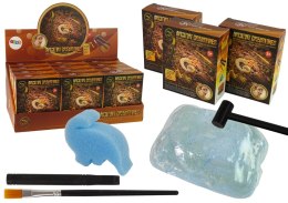 LEAN TOYS Zestaw Wykopaliska Starożytne Stworzenia Amonit Niespodzianka