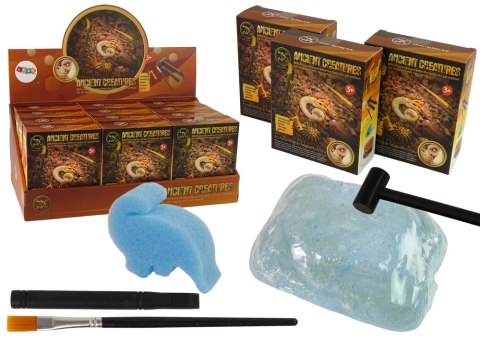 LEAN TOYS Zestaw Wykopaliska Starożytne Stworzenia Amonit Niespodzianka LEAN TOYS Zestaw Wykopaliska Starożytne Stworzenia Amonit Niespodzianka
