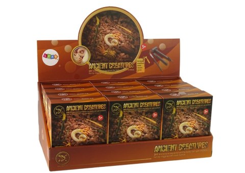 LEAN TOYS Zestaw Wykopaliska Starożytne Stworzenia Amonit Niespodzianka LEAN TOYS Zestaw Wykopaliska Starożytne Stworzenia Amonit Niespodzianka