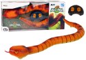 LEAN Toys Zdalnie Sterowany Wąż Anakonda Na Pilota 70 cm Długości