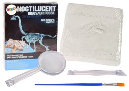 LEAN Toys Zestaw Archeologiczny Wykopaliska Dinozaur Szkielet 3D Brachiosaurus Hologram