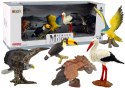 LEAN Toys Zestaw Figurek Ptaki Świata 5 elementów
