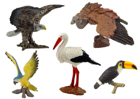 LEAN Toys Zestaw Figurek Ptaki Świata 5 elementów LEAN Toys Zestaw Figurek Ptaki Świata 5 elementów