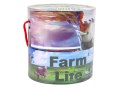 LEAN Toys Zestaw Figurek Zwierzęta Wiejskie Farma Akcesoria 34 Elementy