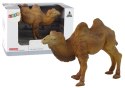 LEAN Toys Zestaw Figurka Kolekcjonerska Wielbłąd Zwierzęta
