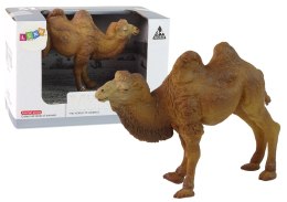 LEAN Toys Zestaw Figurka Kolekcjonerska Wielbłąd Zwierzęta