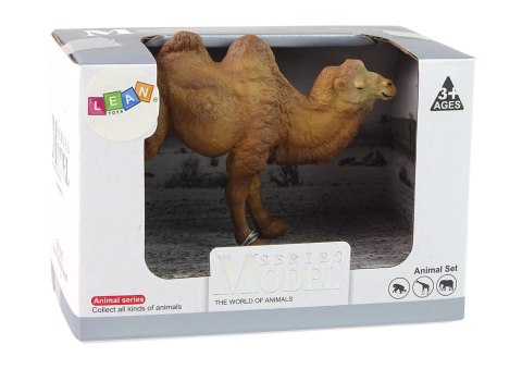 LEAN Toys Zestaw Figurka Kolekcjonerska Wielbłąd Zwierzęta LEAN Toys Zestaw Figurka Kolekcjonerska Wielbłąd Zwierzęta
