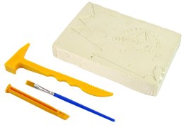 LEAN Toys Zestaw Wykopaliska Odkrywanie Kopalnia Zwierzęta Morskie