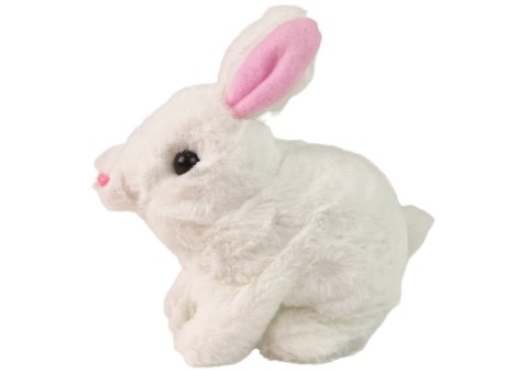 LEAN Toys Maskotka Interaktywna Króliczek Królik Biały Miska Marchewka LEAN Toys Maskotka Interaktywna Króliczek Królik Biały Miska Marchewka