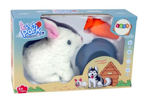 LEAN Toys Maskotka Interaktywna Króliczek Królik Biały Miska Marchewka LEAN Toys Maskotka Interaktywna Króliczek Królik Biały Miska Marchewka
