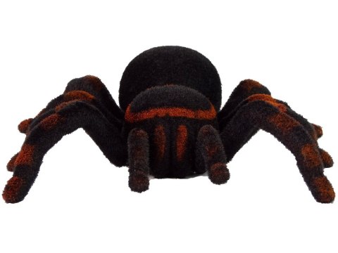 LEAN Toys Zdalnie Sterowany Pająk Tarantula Czarny R/C LEAN Toys Zdalnie Sterowany Pająk Tarantula Czarny R/C